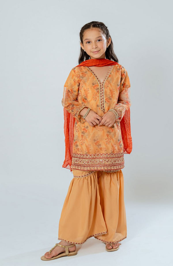 Amna Khadija Shehzadiyan Festive Pret Collection AKSPF 05