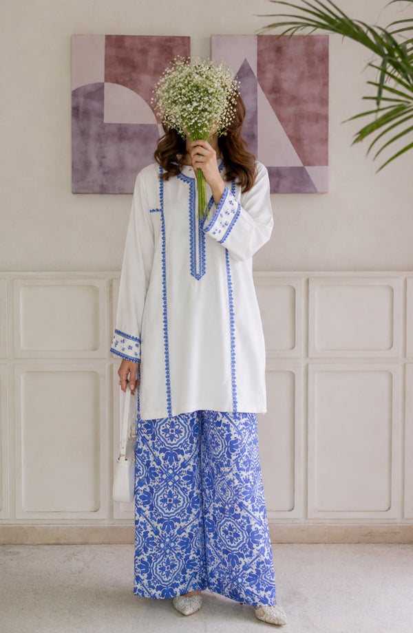 Afsana Basics Embroidered Lawn Stitched 2 Piece Co-ord Set - AB-03 - FSNA26 - White - Summer Collection