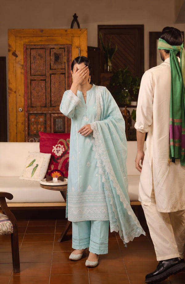 Noor-e-Nawab Lucknowi Embroidered Cotton Stitched 3 Piece Suit - AKNNL-05 - AM26LKH - Sky Blue - Winter Collection