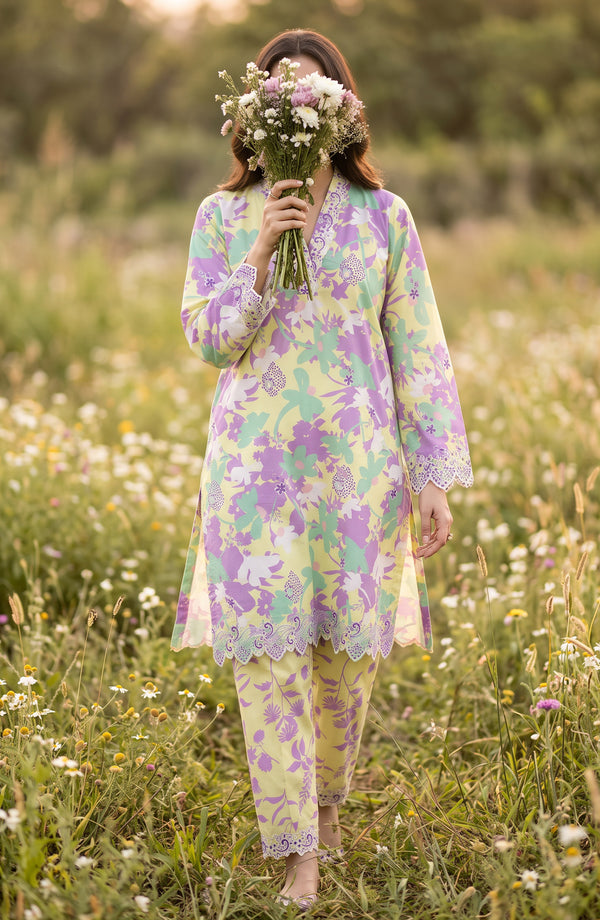Amna Khadija Embroidered Chikankari Lawn Stitched 2 Piece Co ord Set - AKPSE-25 - AKP26ETRE - Multi - Summer Collection