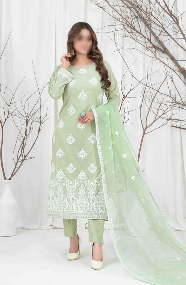 AENI Semi Stitched Fancy Embroidered Lawn Collection 2024 D 2210