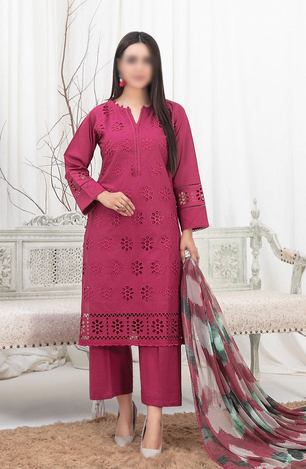 Sarv - Stitched Schiffli Embroidered Lawn Collection 2024 D 9238