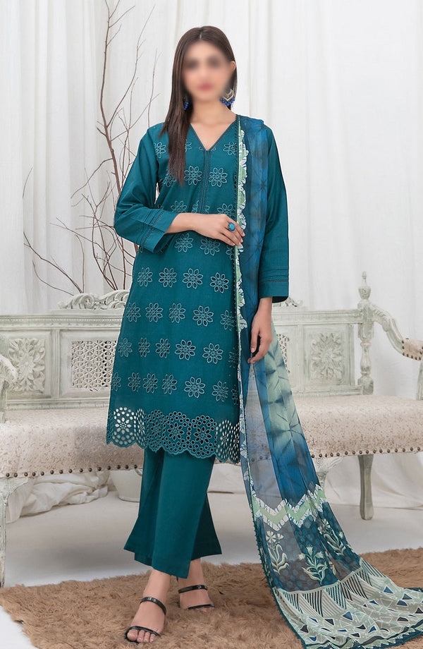 Sarv - Stitched Schiffli Embroidered Lawn Collection 2024 D 9239