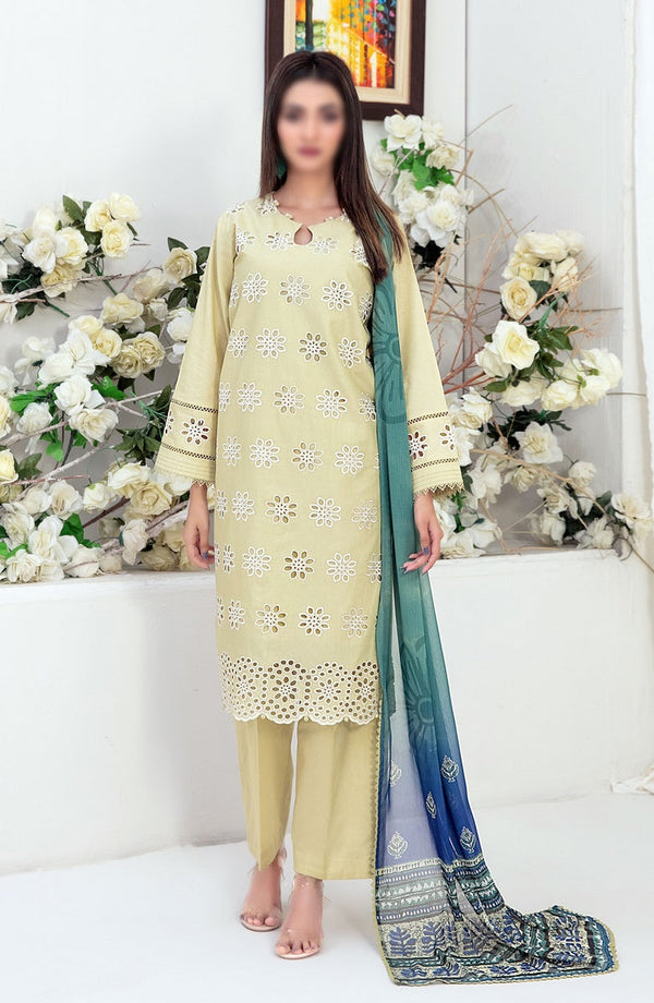 Sarv - Stitched Schiffli Embroidered Lawn Collection 2024 D 9243