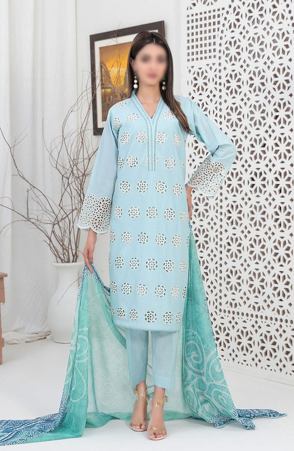 Sarv - Stitched Schiffli Embroidered Lawn Collection 2024 D 9245