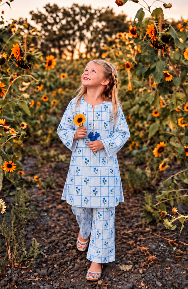 Parchhai Printed Cotton Stitched 2 Piece Co-ord Set - PMD-13D - PRCH26 - Blue - Summer Collection