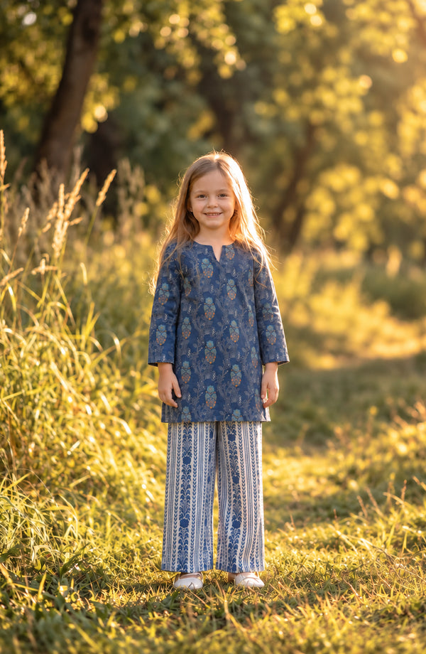 Parchhai Printed Cotton Stitched 2 Piece Co-ord Set - PMD-16D - PRCH26 - Blue - Summer Collection