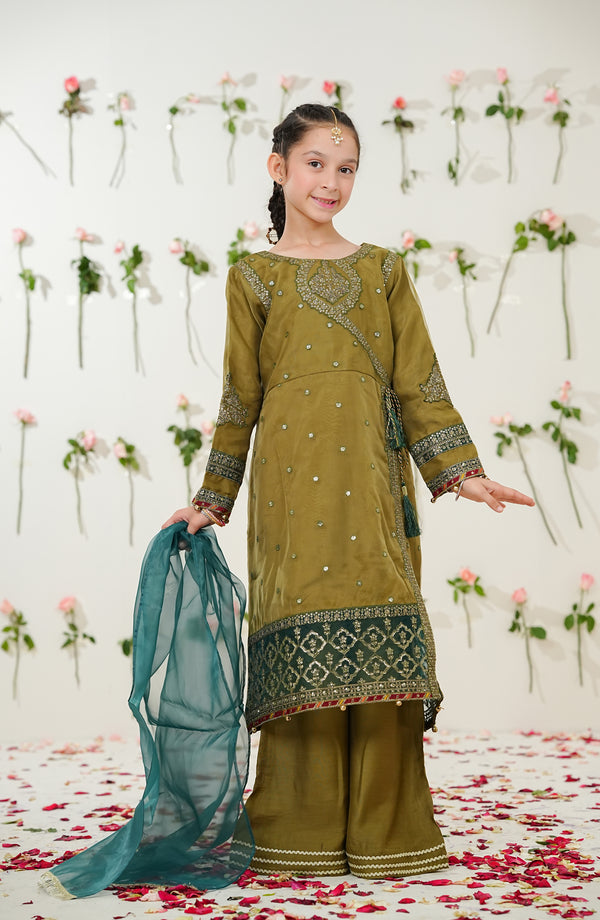 Sunehri by Amna Khadija Embroidered Organza Stitched 3 Piece Suit - SGLF-11 - AKP26NHRI - Green - Girls Festive Collection